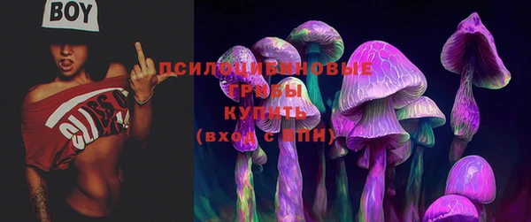 прущая мука Кукмор