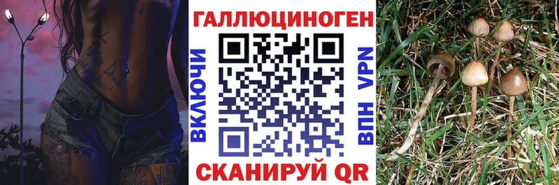 Галлюциногенные грибы Psilocybine cubensis  ссылка на мегу ONION  Новомичуринск 